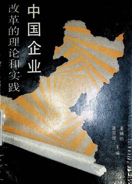 《中國(guó)企業(yè)改革的理論和實(shí)踐》