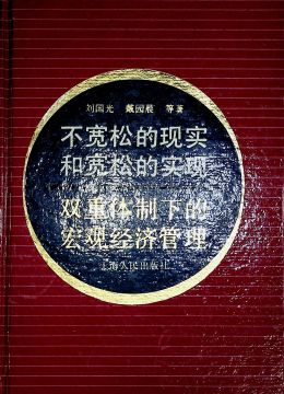 《不寬松的現(xiàn)實(shí)和寬松的實(shí)現(xiàn) 雙重體制下的宏觀經(jīng)濟(jì)管理》