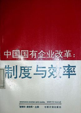 《中國(guó)國(guó)有企業(yè)改革：制度與效率》