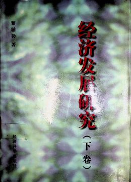《經(jīng)濟(jì)發(fā)展研究》 下卷