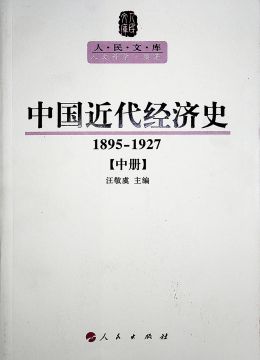 《中國(guó)近代經(jīng)濟(jì)史（1895-1927）》 中冊(cè)