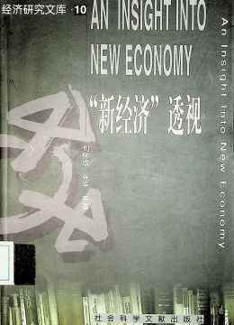《“新經(jīng)濟(jì)”透視》