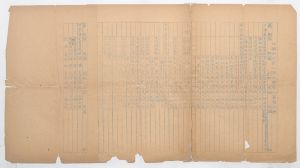 1950年，中國(guó)科學(xué)院入革大學(xué)習(xí)人員情況表（社會(huì)所11人）（徐義生藏）